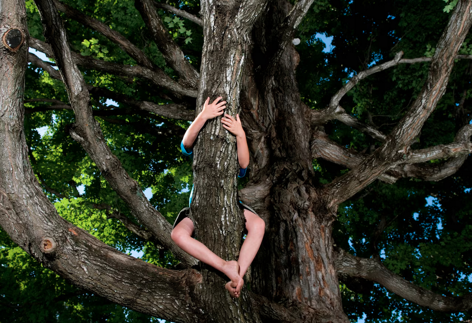a child climbing behind a tree